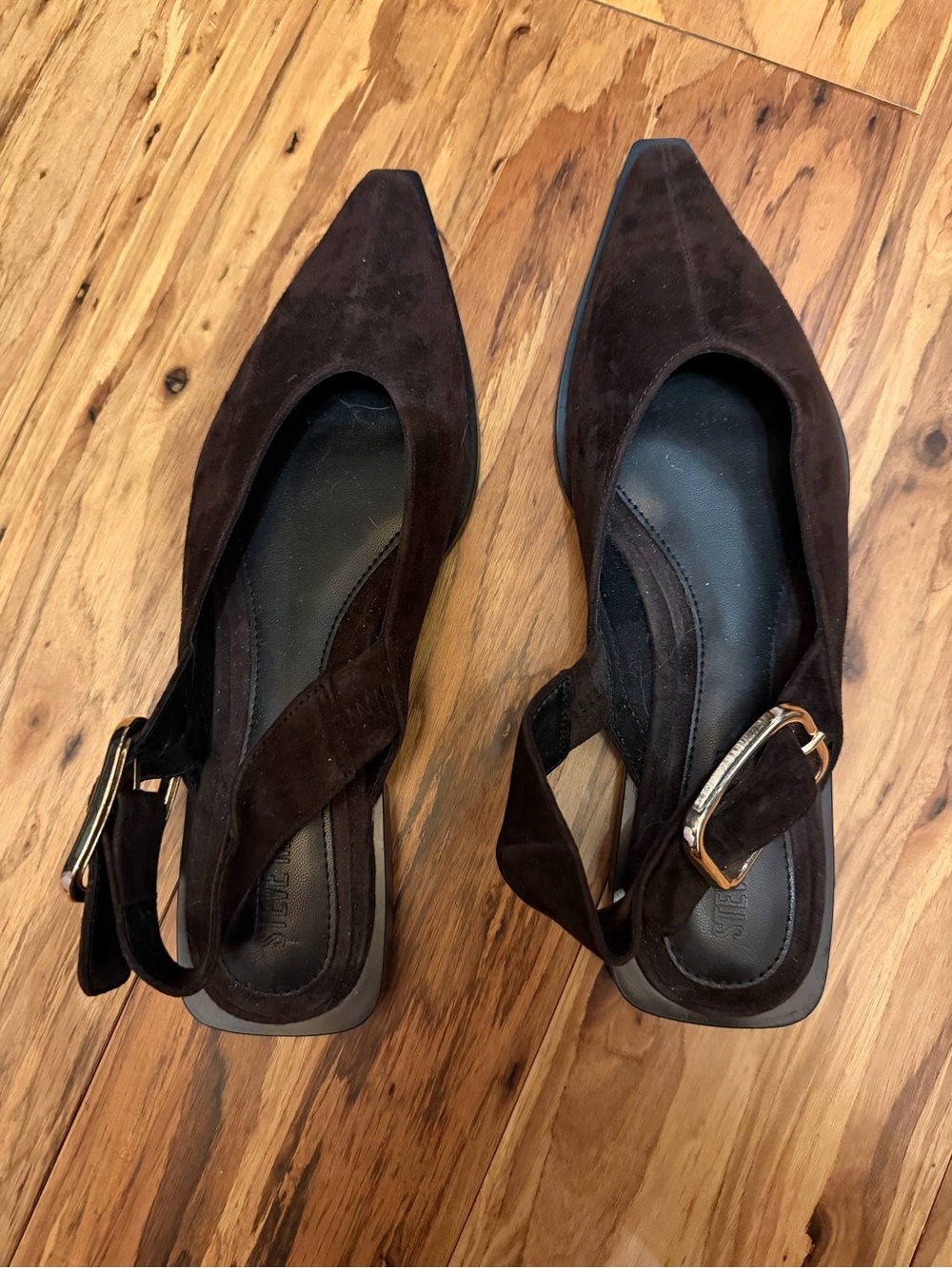 Steve Madden Dark Brown Suede Pointed Slingback Flats